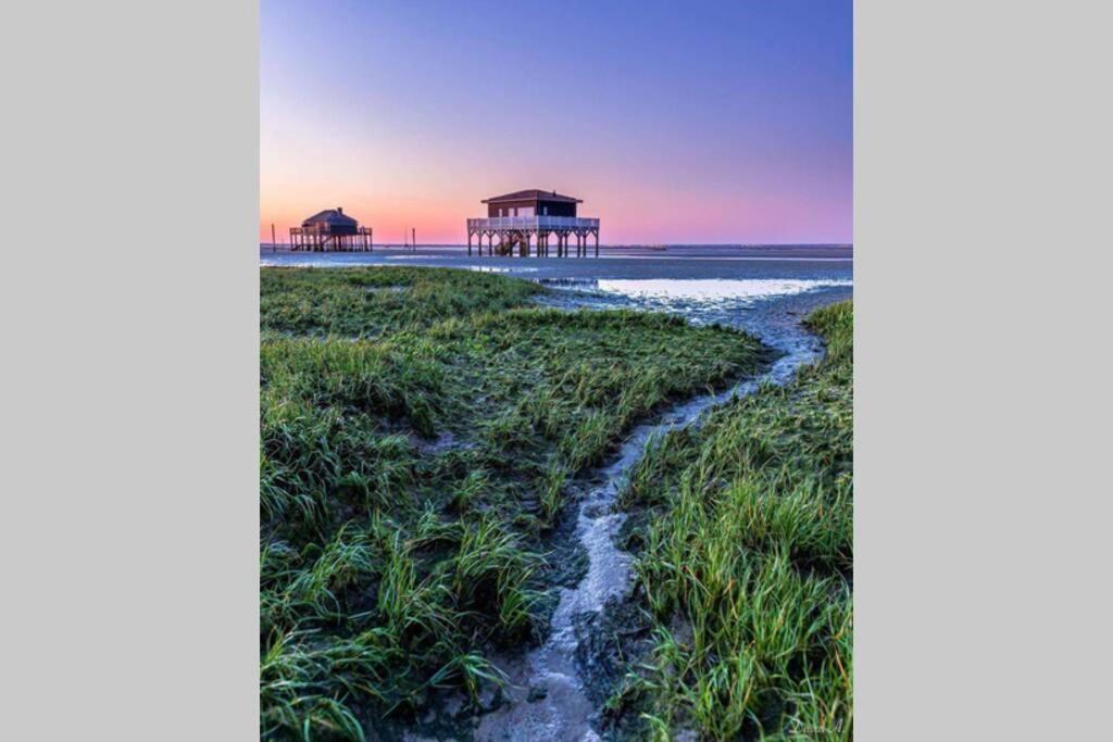 Colibri Appart' T2 Au Coeur Du Bassin D'Arcachon Gujan-Mestras Exterior foto